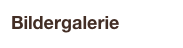Bildergalerie